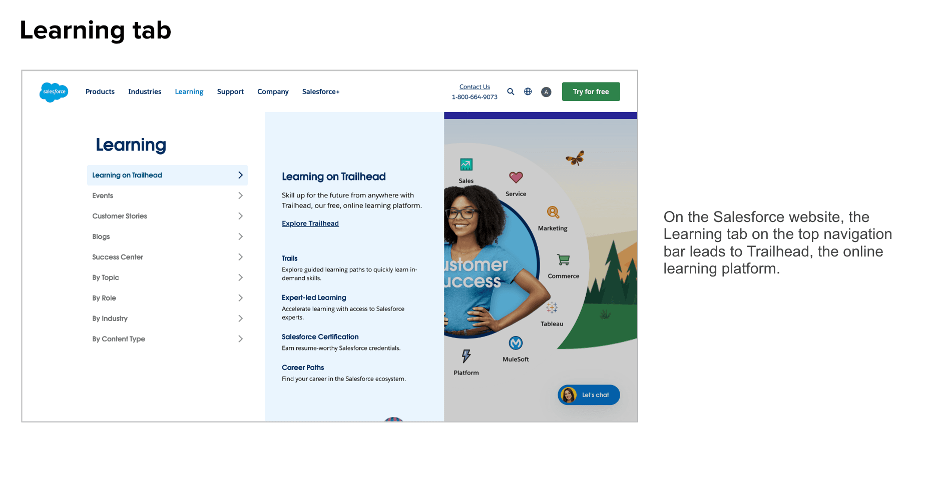 Learning tab on salesforce.com